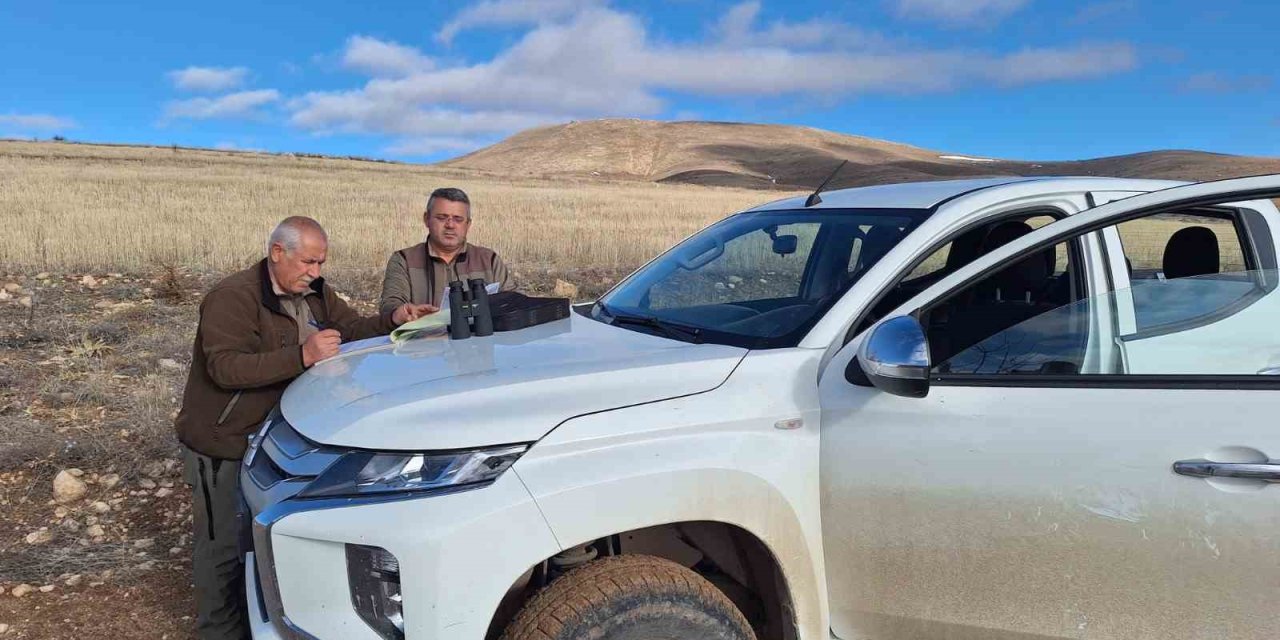 Yasa Dışı Ava Suçüstü