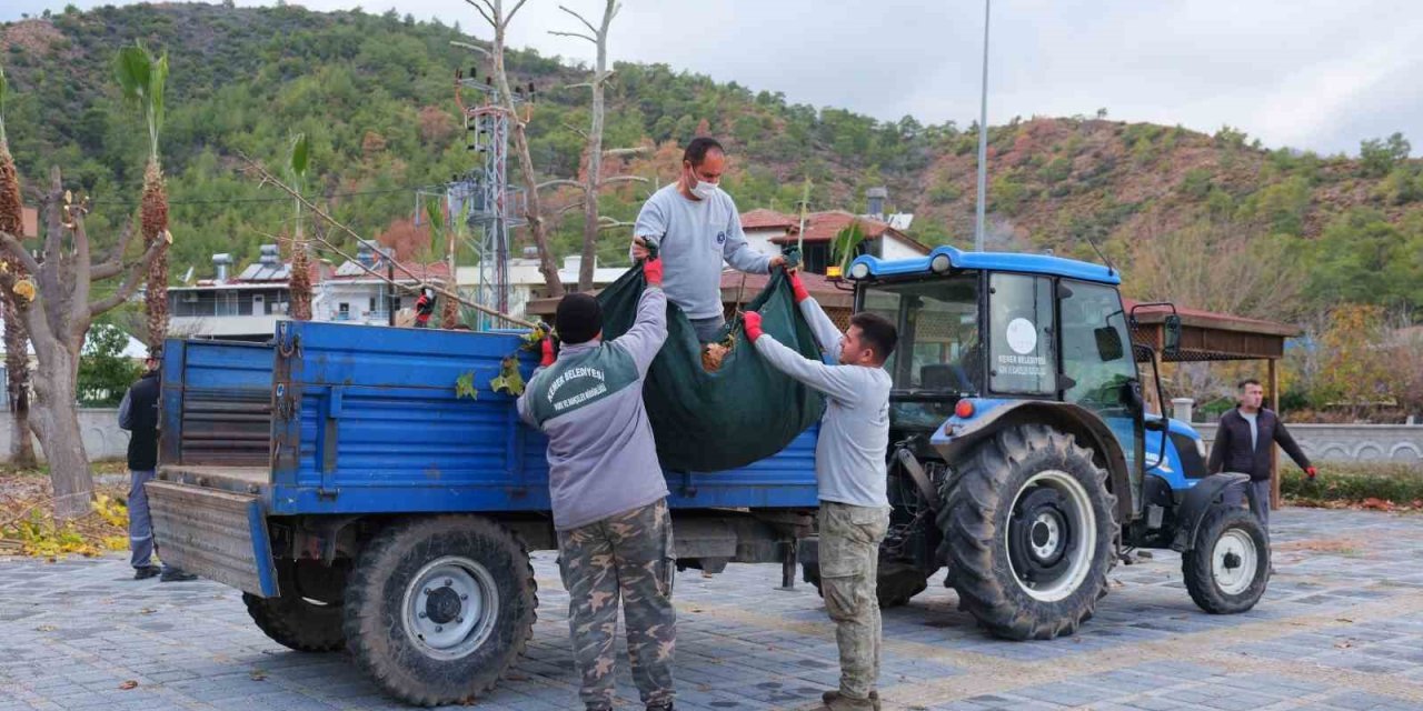 Kemer’de Bahçe Atıkları Toplama Programı Başladı