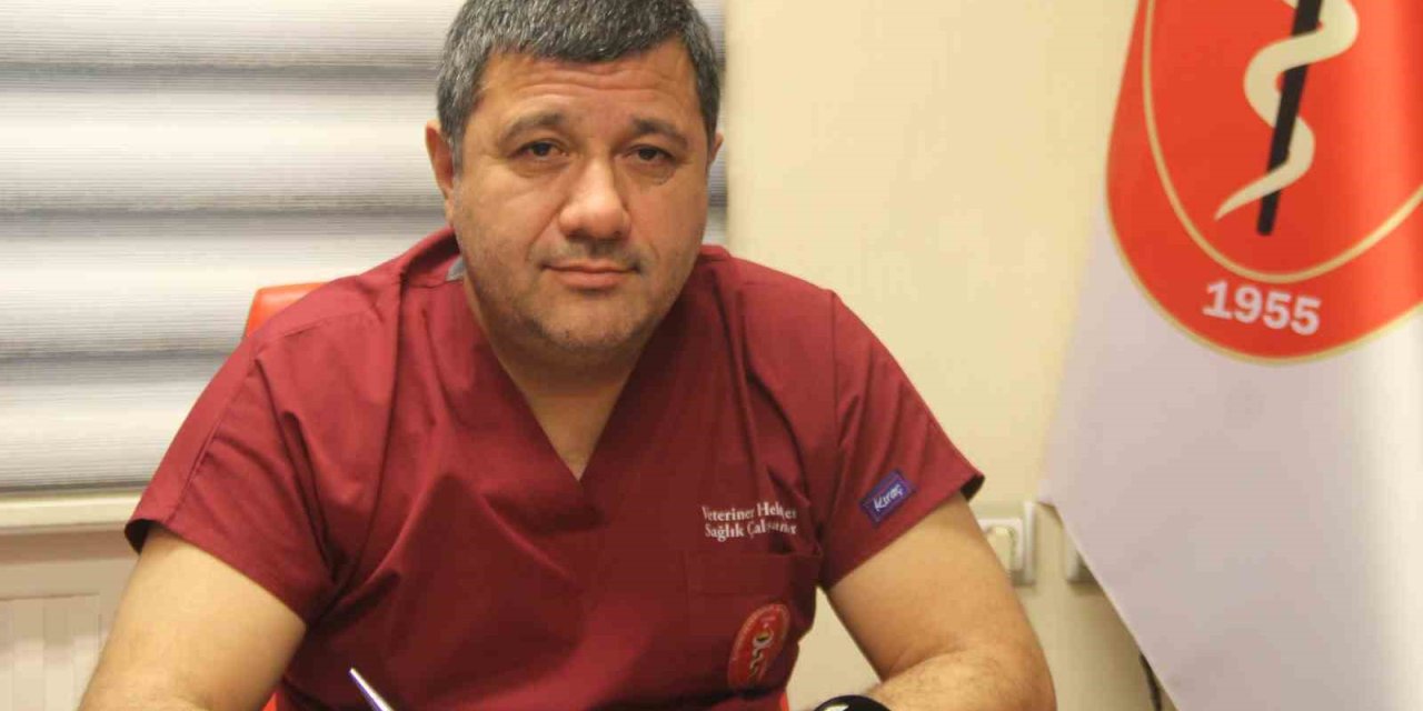 Haşerelere Karşı En Etkin Mücadele Kış Döneminde