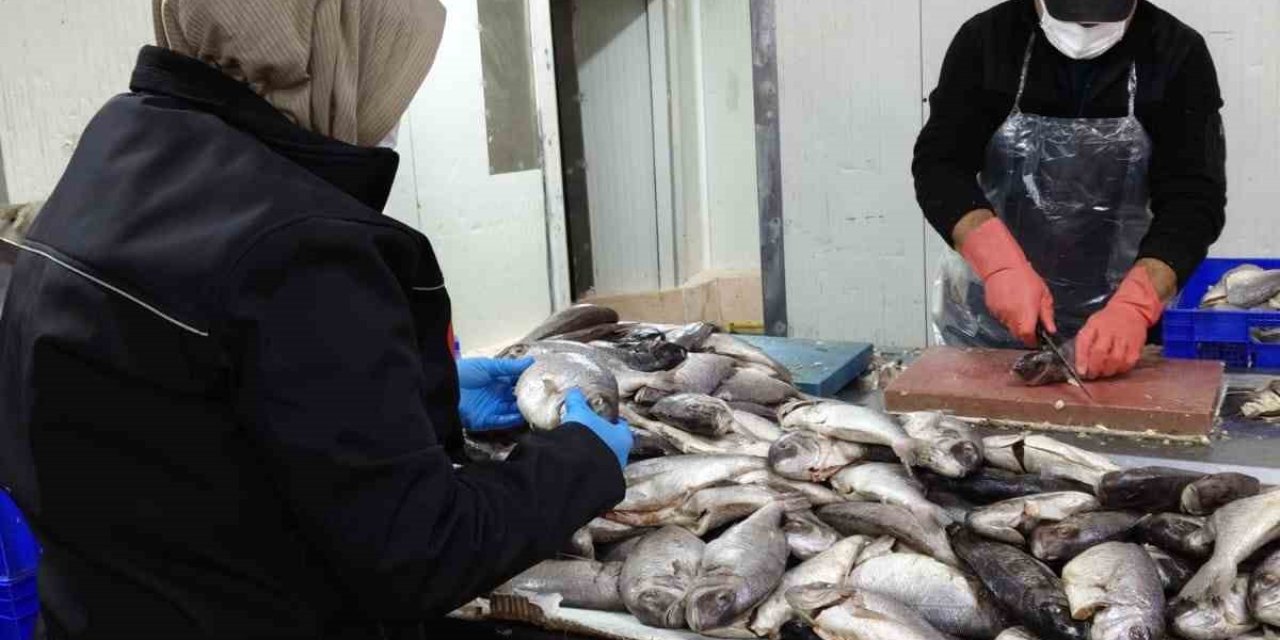 Hüyük’te Balık İşleme Tesisi Ve Restoranlarına Denetim
