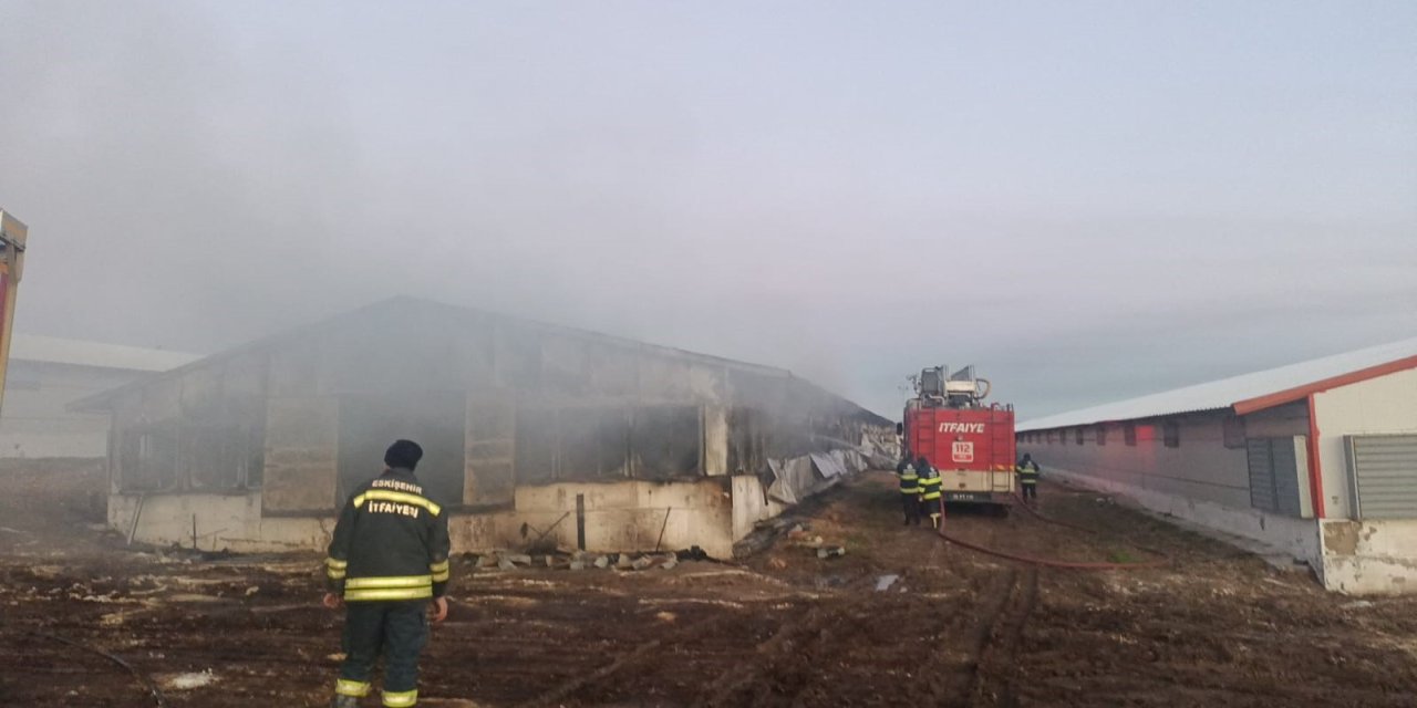 Tavuk Çiftliğinde Çıkan Yangın Hasara Neden Oldu