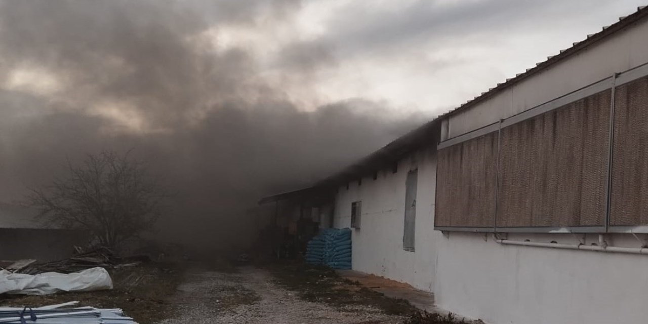 Tavuk Çiftliğinde Yangın: Binlerce Civciv Telef Oldu