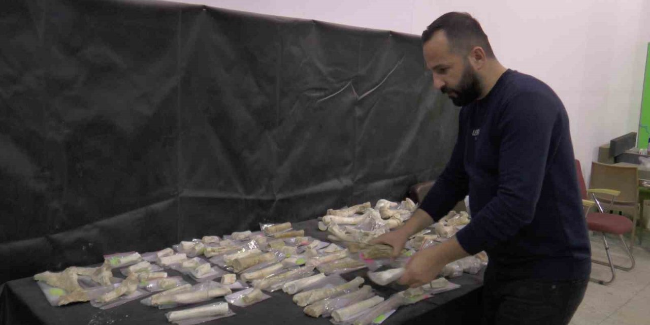 Taşhan’da 2024’te 115 Fosil Bulundu