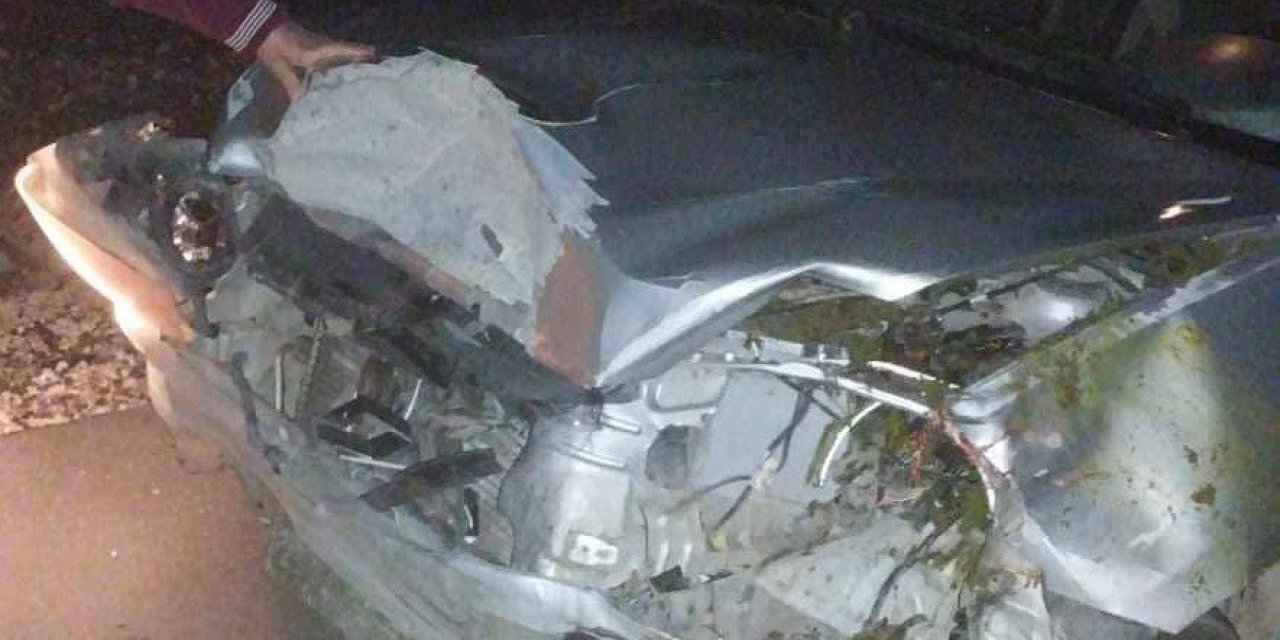 Mersin’de Trafik Kazası 4 Hayvan Telef Oldu