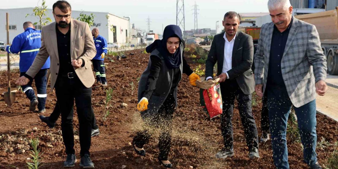 Akdeniz İlçesi Yeni Bir Yeşil Alan Kazanıyor