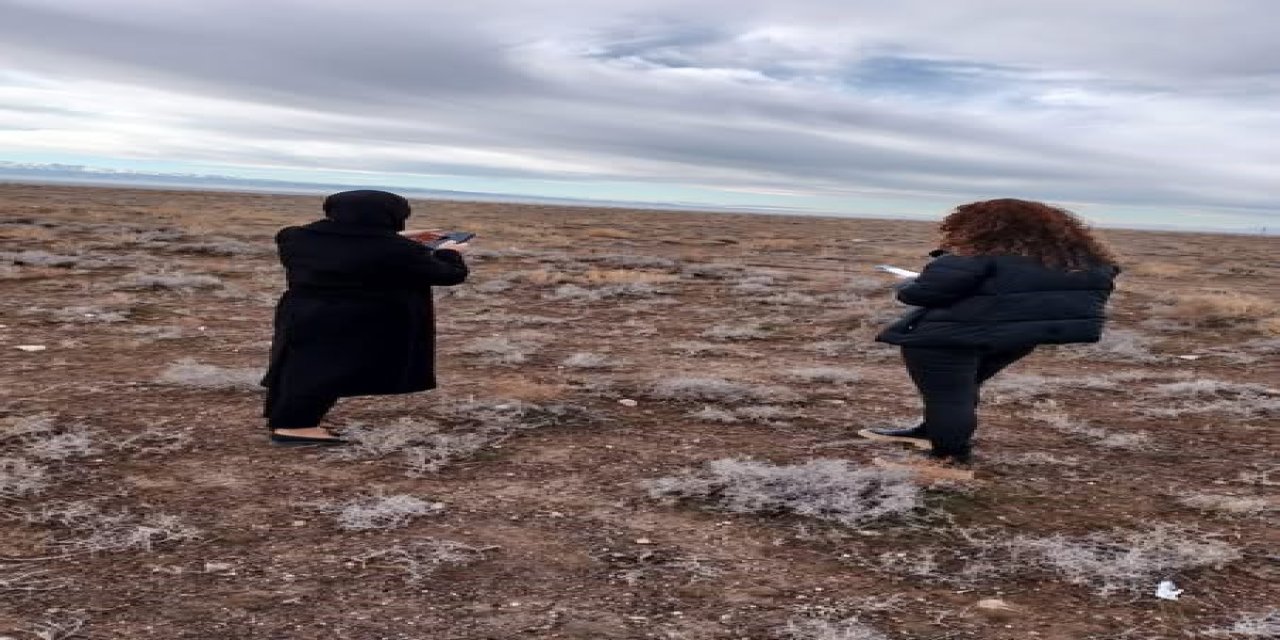 Ereğli’de Arı Konaklama Yerleri Belirlendi