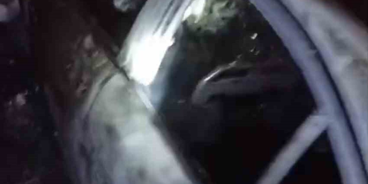 Tarsus’ta Park Halindeki Otomobil Yandı