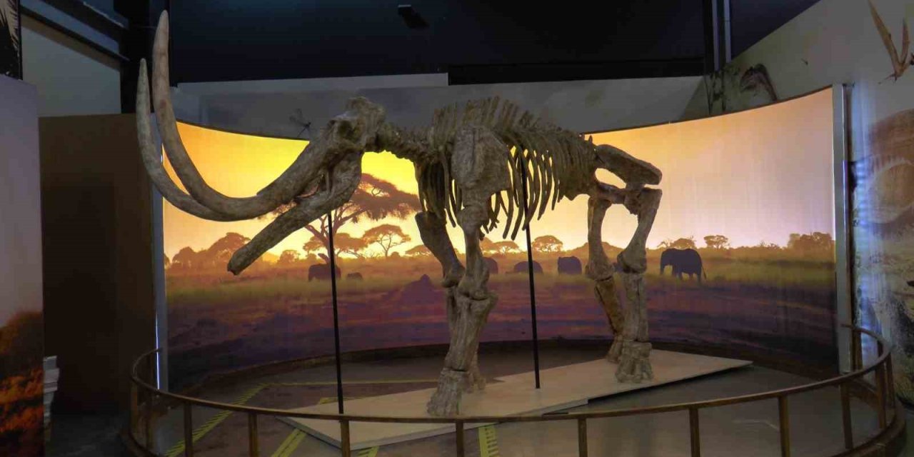 7,5 Milyon Yıllık Tarih Kayseri’de Ayaklanıyor