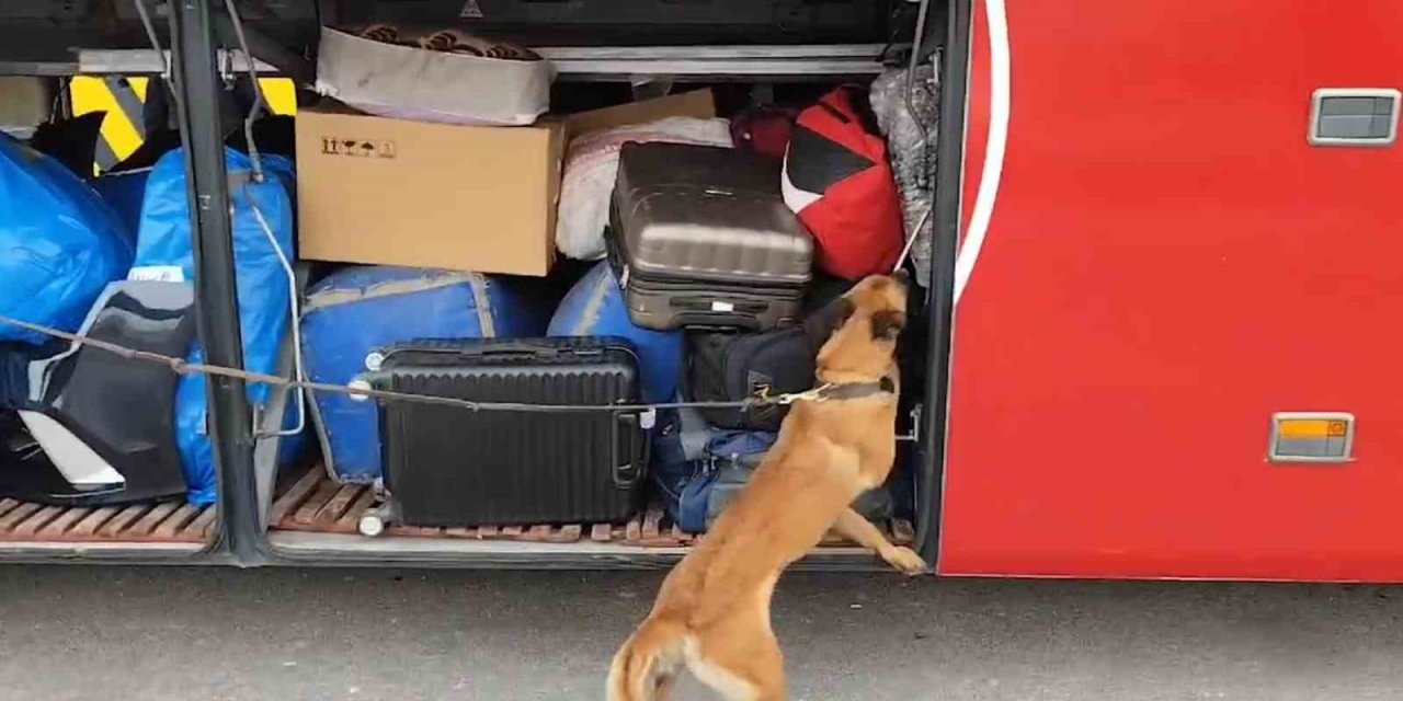 Kayseri’de Uyuşturucu Operasyonu: 1 Gözaltı