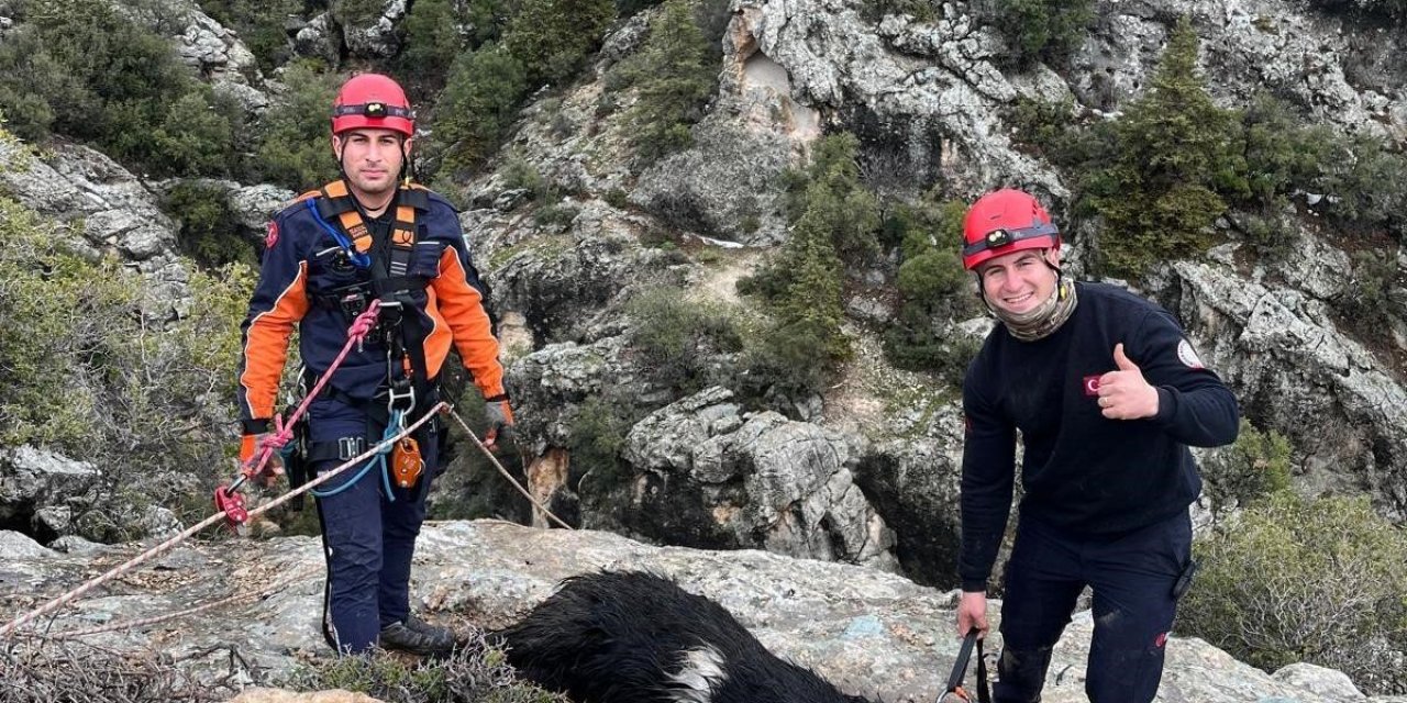 Uçurumda Mahsur Kalan Keçi, İtfaiye Ekiplerince Kurtarıldı