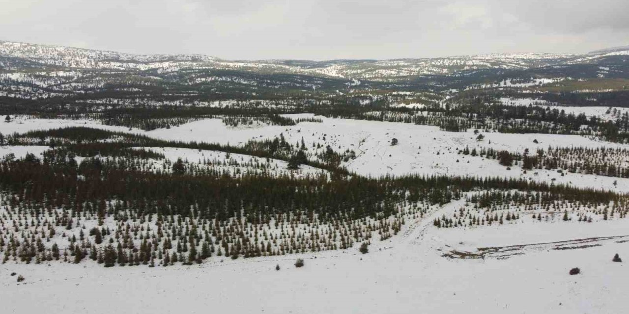 Toroslarda Kar Güzelliği