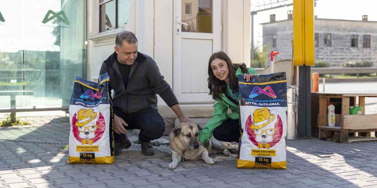 Mersin’de ’yaşamı Sahiplen Destek Büyükşehirden’ Kampanyasında 407 Hayvan Sahiplendirildi