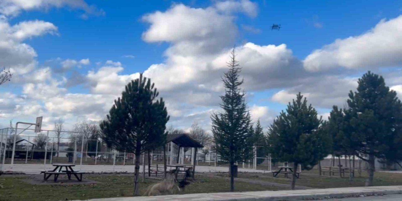 Başıboş Köpekler Havadaki Drona Saldırdı