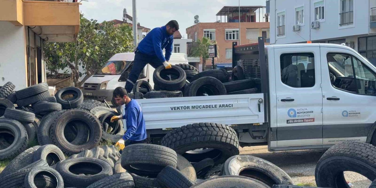 Sineklerin Üreme Alanı Lastikler Toplanıyor