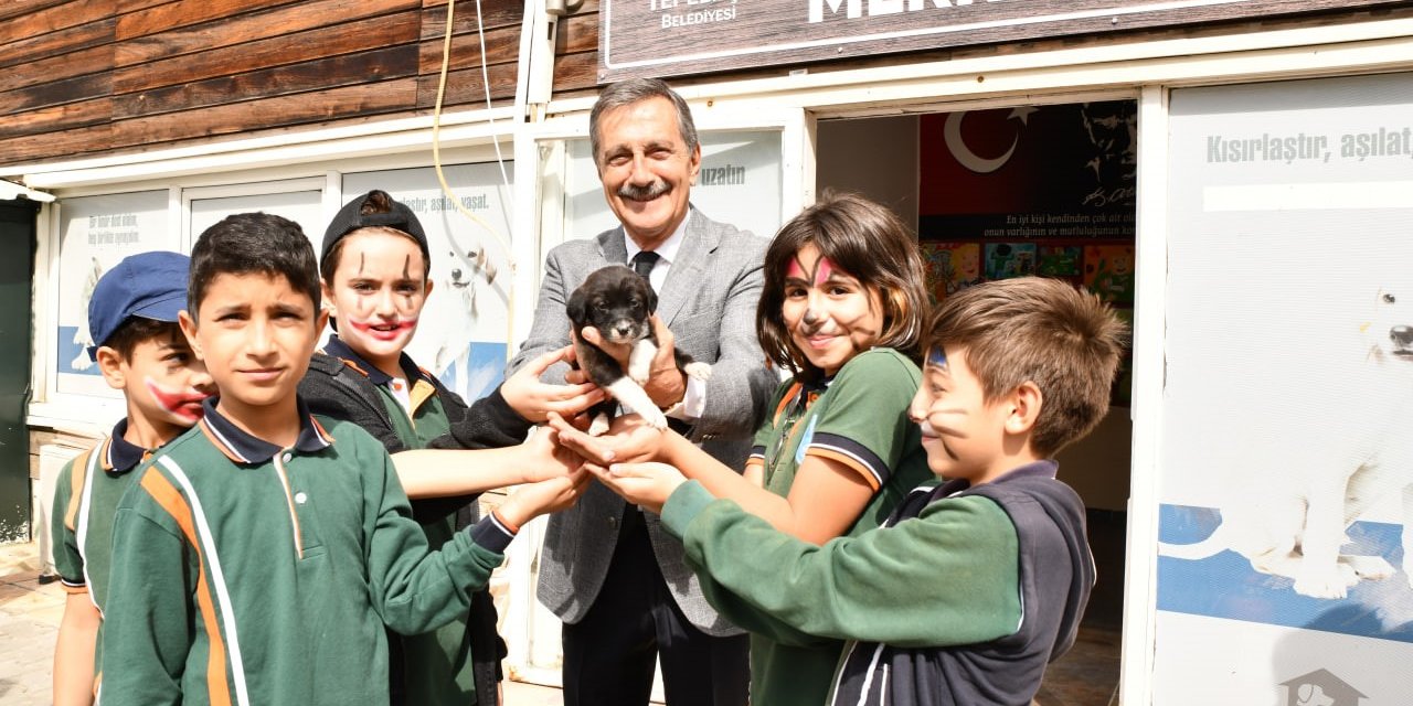 2024’te 607 Can Sıcak Bir Yuvaya Kavuştu