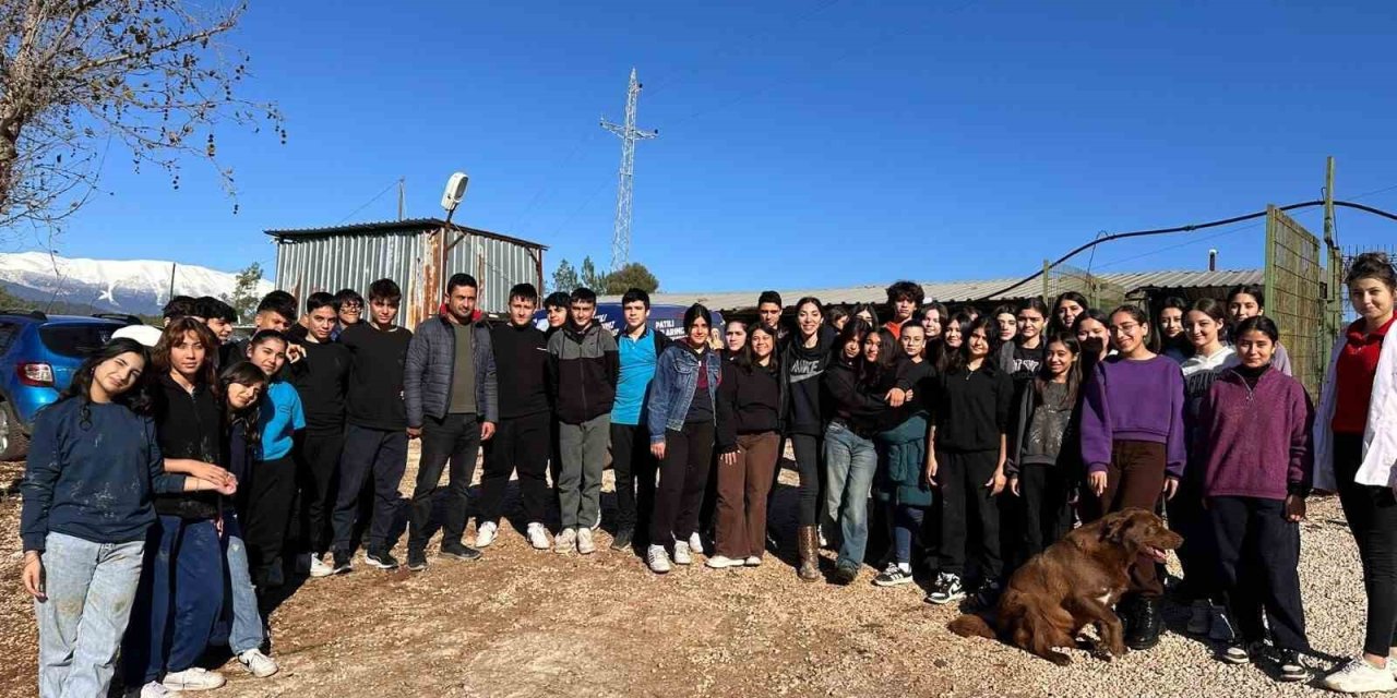 “barınaktan Okullara Sevimli Dost” Projesi Kabul Edildi