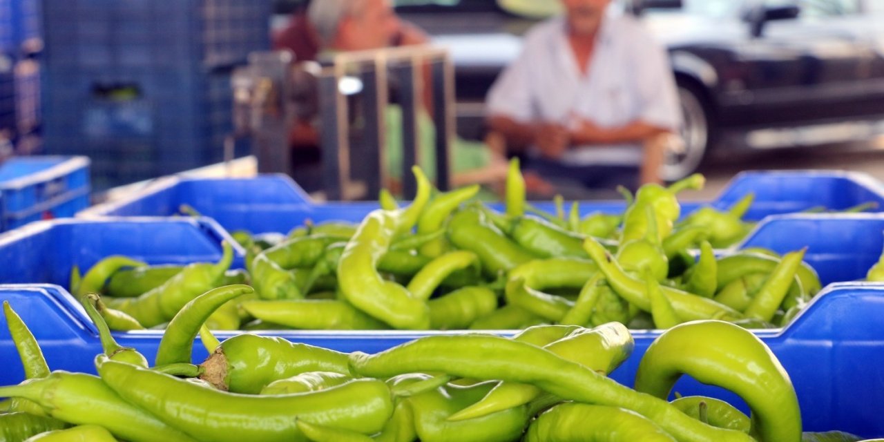 Antalya’da 2024’te Üretilen Sebze Miktarı Yüzde 20 Düştü