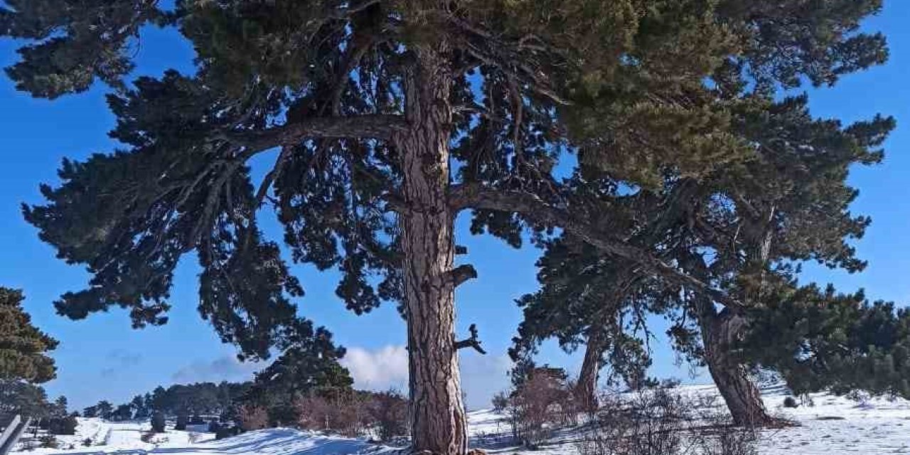 Kırka Mahallesi Beyaza Büründü