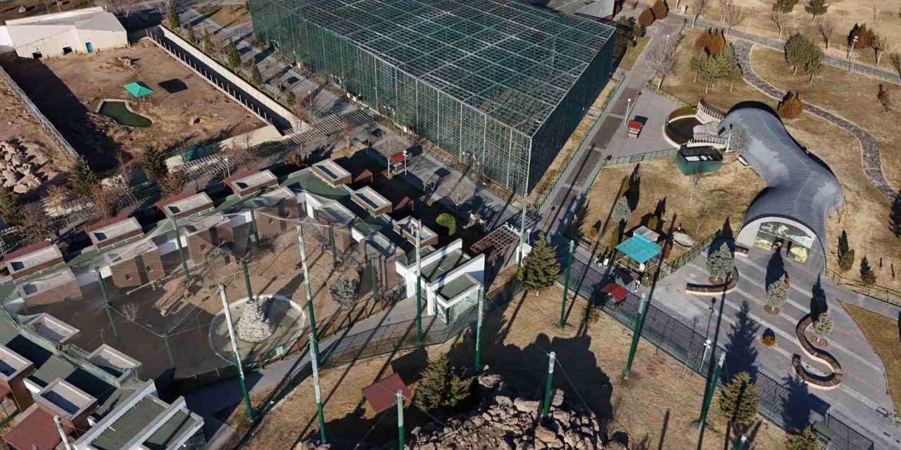 Hayvanat Bahçesinde 2024 Dolu Dolu Geçti