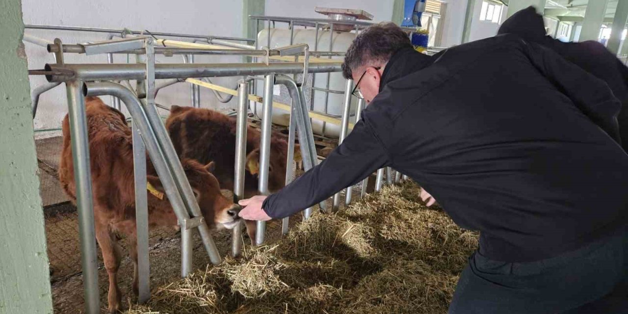 Tarım Ve Orman İl Müdürlüğü’nden Tepebaşı’ndaki İşletmeye Ari İşletme Sertifikası