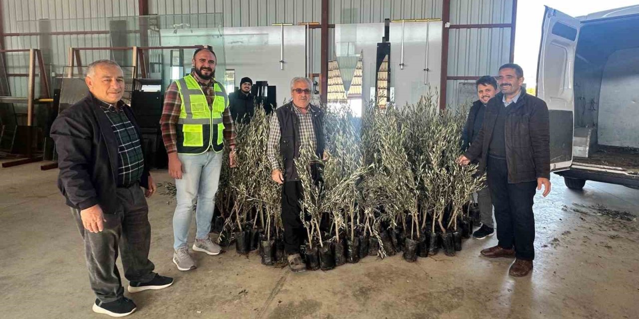 Büyükşehir’den Alanyalı Üreticilere Fidan Desteği