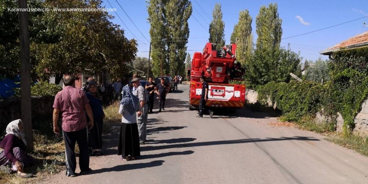 Ağaç Budarken Kafası İpe Dolanan Şahıs Hayatını Kaybetti