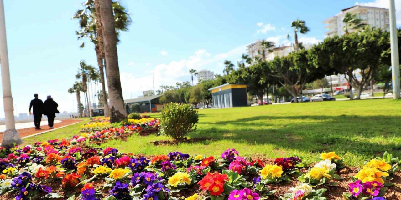 Mersin’de Kentin Dört Bir Yanı Rengarenk Çiçeklerle Donatılıyor