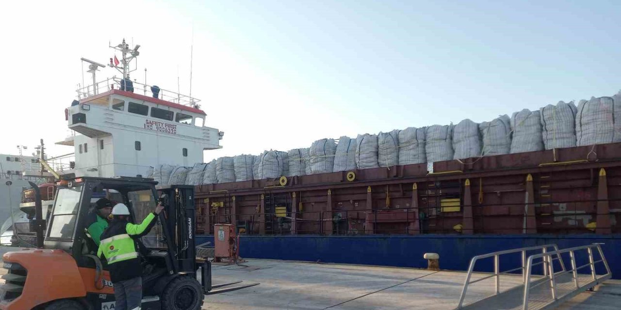 İhracattan Dönen Patatesler İmha Edilecek