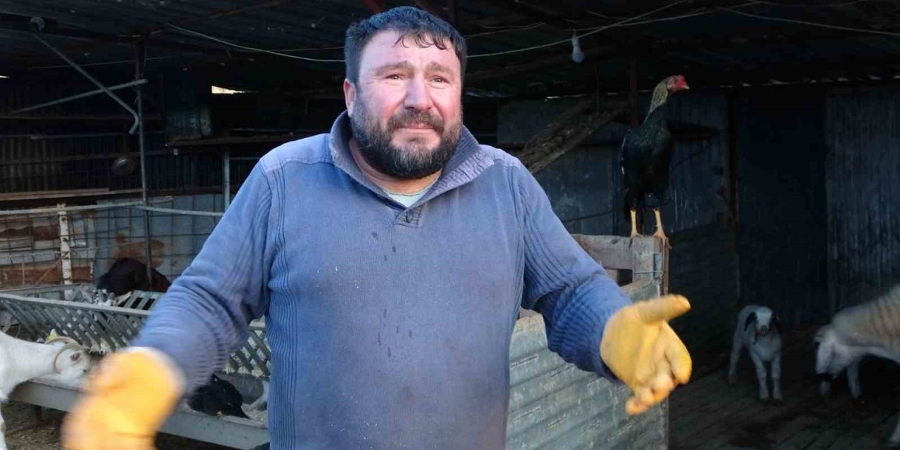 Tavuğunu Tilki Kapan Zavadanak Bekir’den Tilkiye Gülümseten Sitem