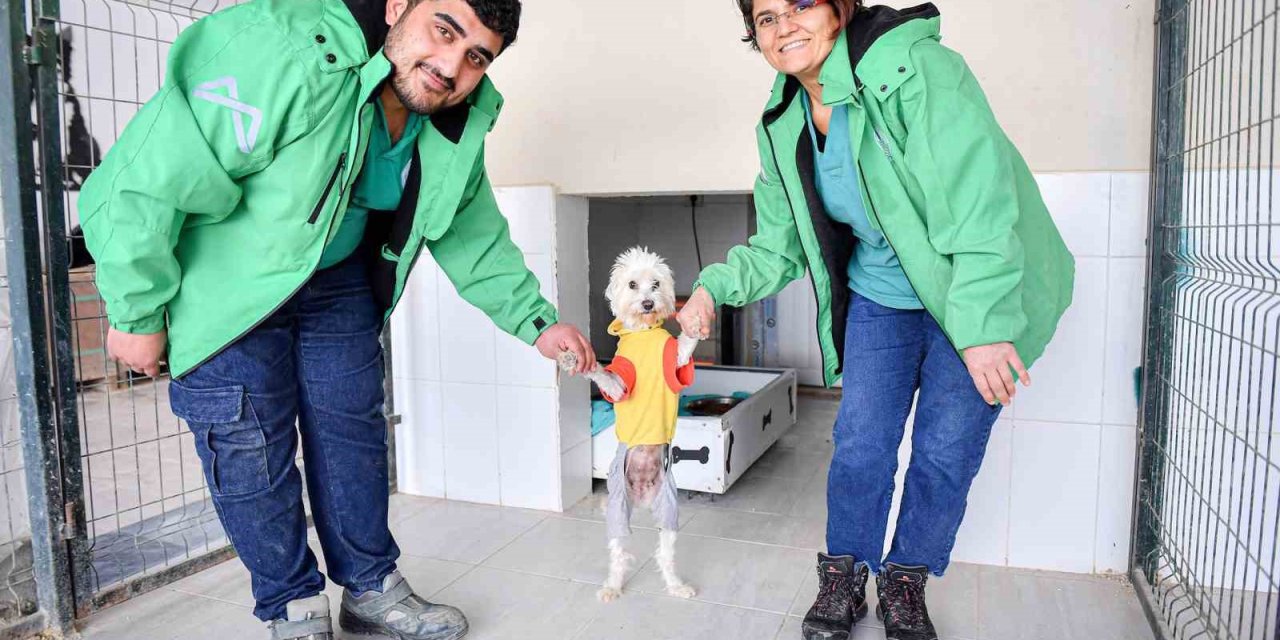 Mersin’de Bin Patili Dost Sıcak Yuvaya Kavuştu