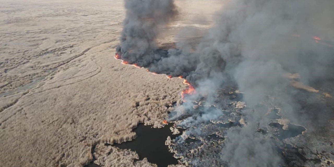 250’den Fazla Kuşa Ev Sahipliği Yapan Sultan Sazlığı’nda Yangın