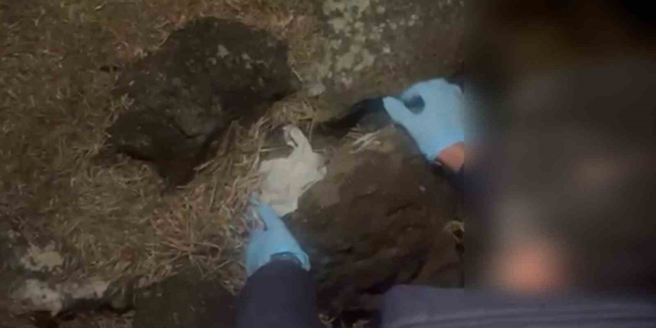 Taşın Altından Bin 67 Adet Uyuşturucu Hap Çıktı