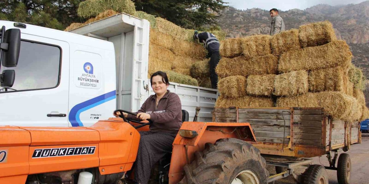Elmalı Yuva’da Saman Desteği Afetzedelerin Yüzünü Güldürdü