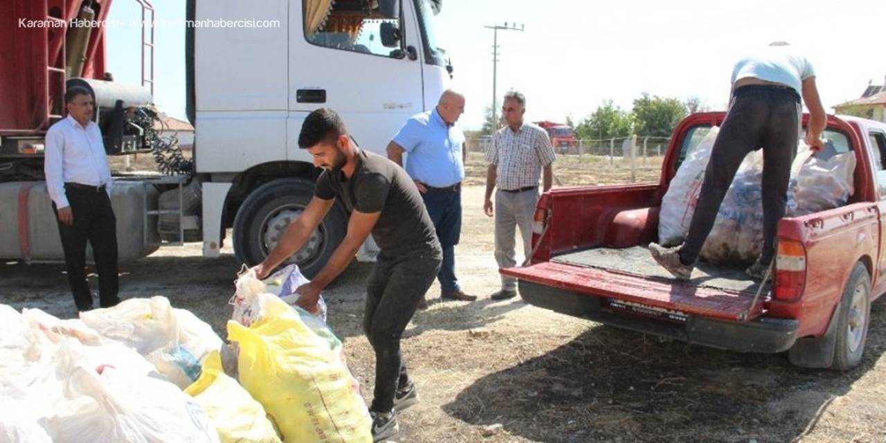 Karaman’da Iskarta Elma Alım Fiyatları Yüz Güldürüyor
