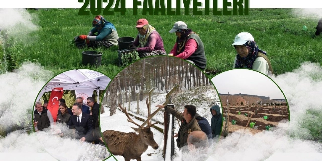 Orman Bölge Müdürlüğü Orman Yangınlarıyla Mücadele Çalışmalarını Sürdürüyor