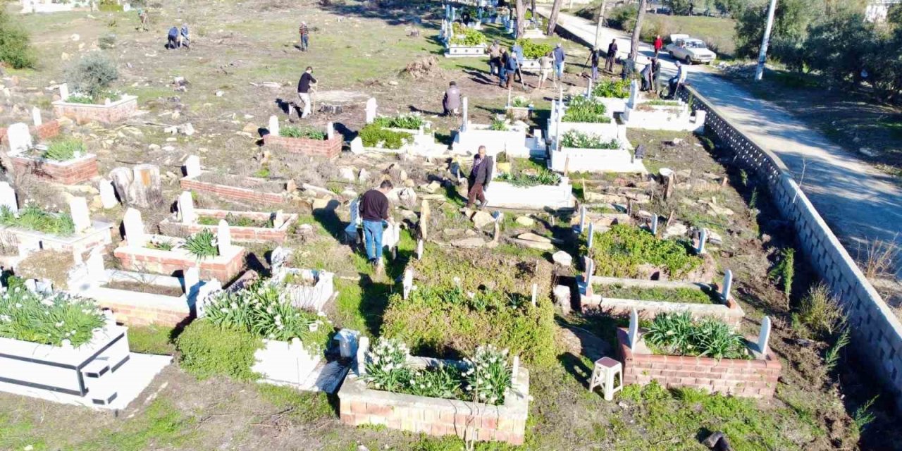 Büyük Manavgat Yangınında Küle Dönen Mezarlığın Ağaçları Yeniden Yeşerecek
