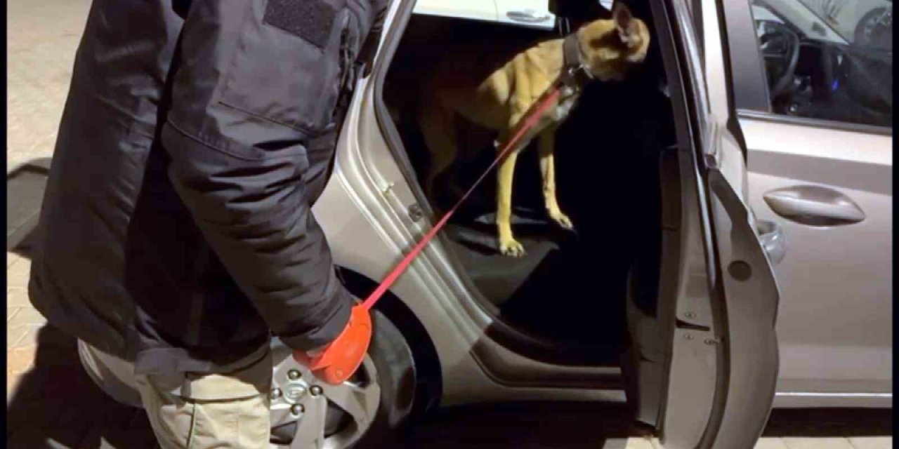 Zehir Tacirleri Polisten Kaçamadı