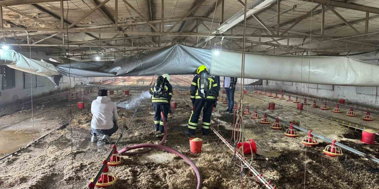 Tarsus’ta Tavuk Üretim Merkezinde Yangın