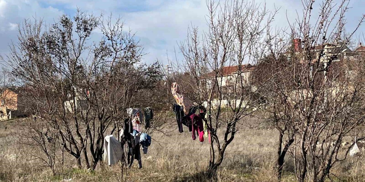 Kış Ortasında Kuruması İçin Ağaca Asılan Elbiseler