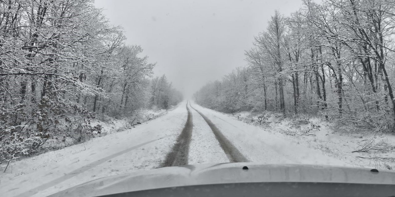 Sarıcakaya Ormanlarında Kar Yağışı Etkili Oldu