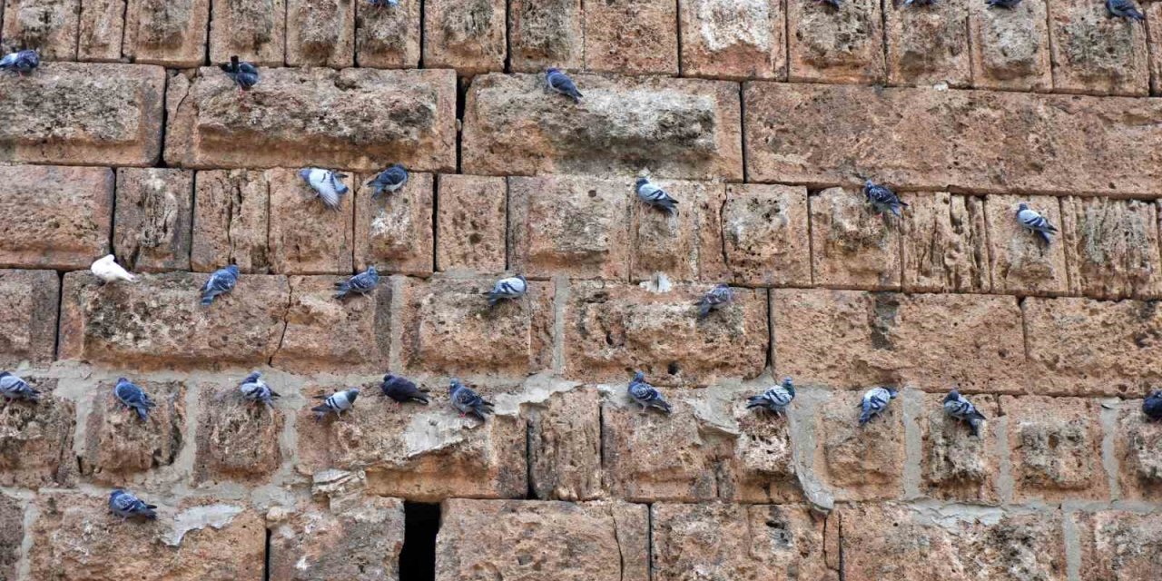 Antalya’nın Simgesi Hadrianus Kapısı’nda Güvercinler Ve Tarih İç İçe