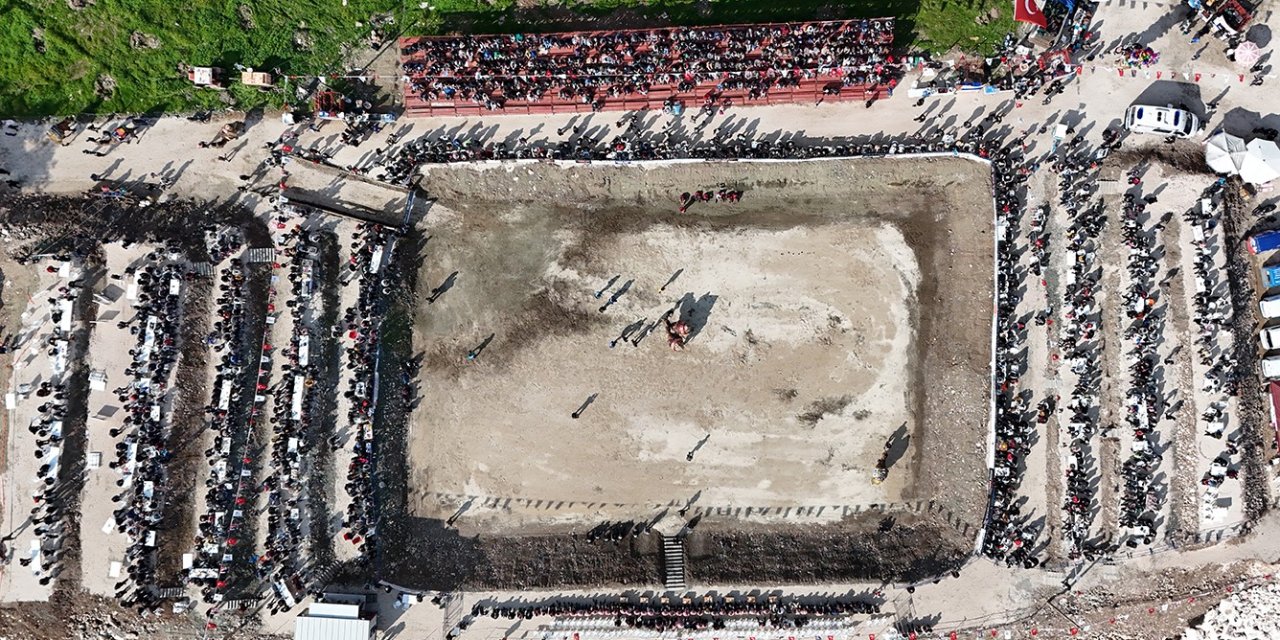 Kumluca’da Geleneksel Deve Gösterisi Nefes Kesti