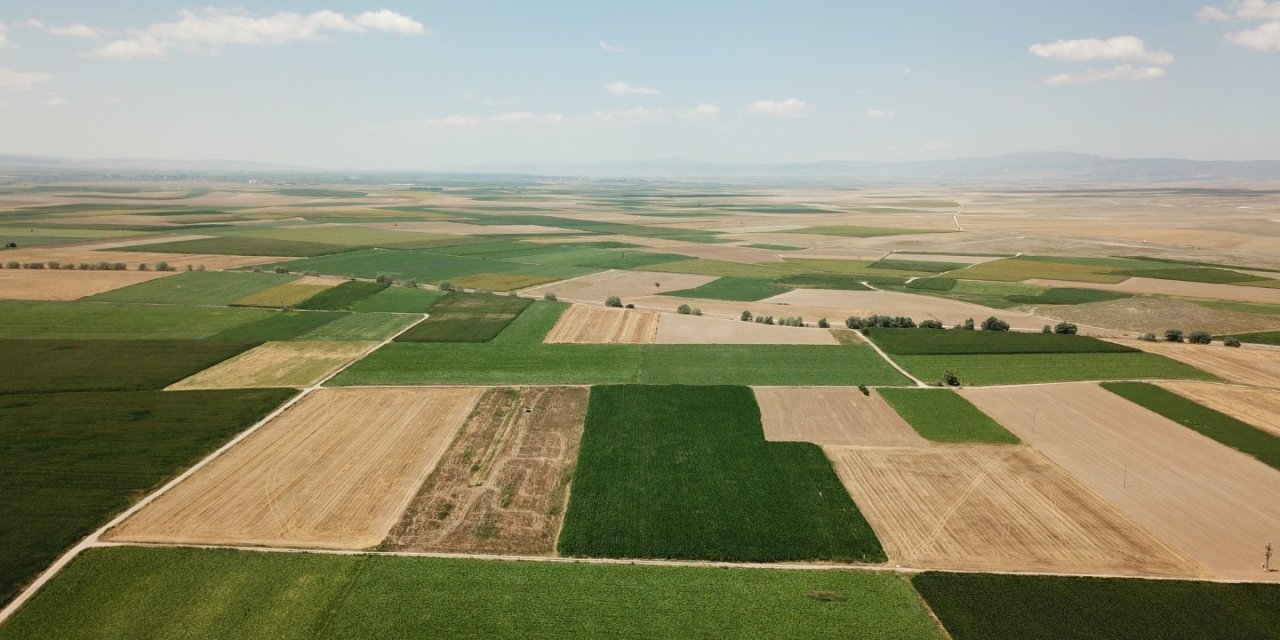 Dsi Eskişehir’de Emeği Berekete Dönüştürmeye Devam Ediyor