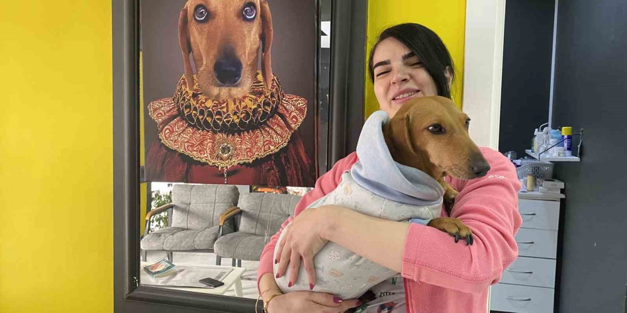 Kış Aylarında Tıpkı İnsanlar Gibi Hayvanlar Da Hasta Oluyor