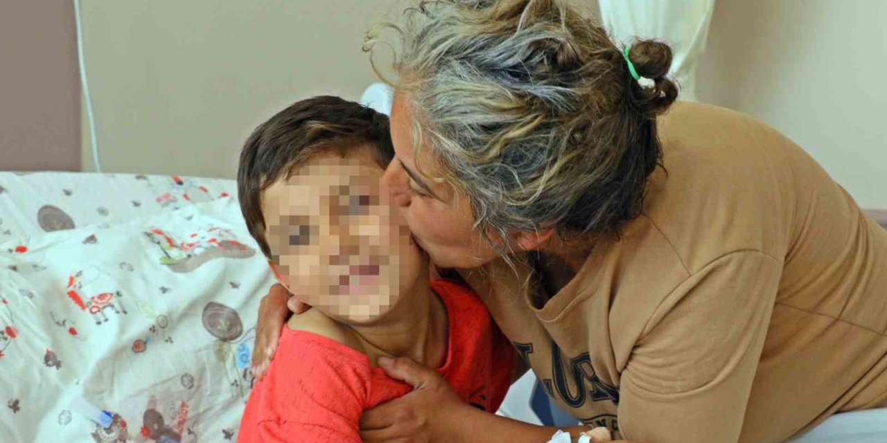 Tüm Türkiye’yi Hüzünlendiren Efe: “para Almadılar”