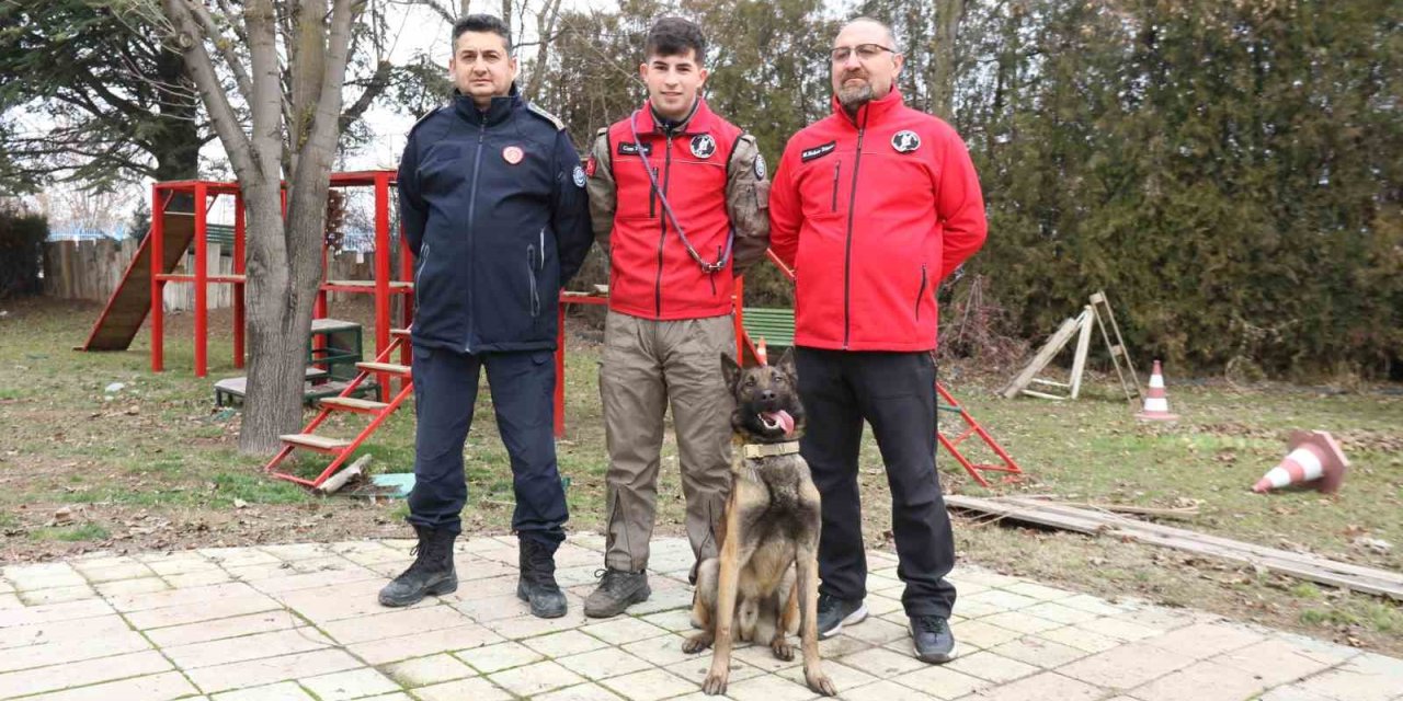 K-9 Arama Kurtarma Köpeği ’adam’, Türkiye’nin En Genç Eğitmeni İle Afetlere Hazırlanıyor