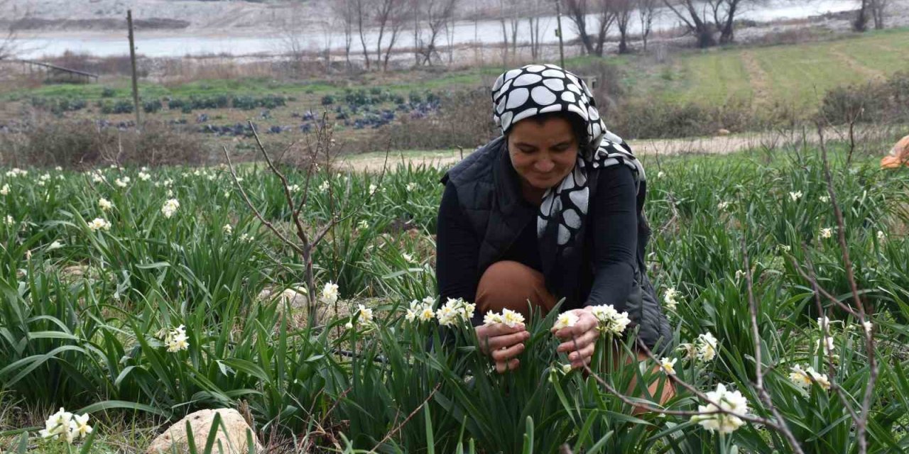 Hobi Olarak Başladı Geçim Kaynağı Oldu