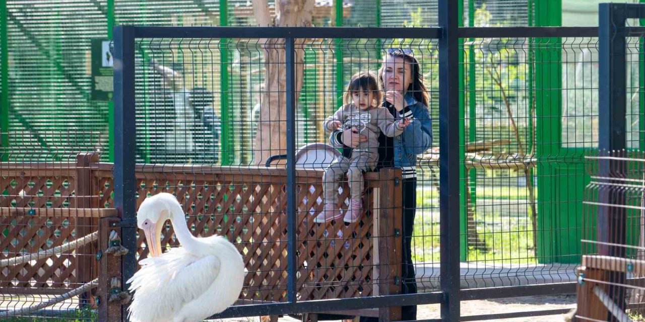 Tarsus Doğa Parkı, Yarı Yıl Tatilinde Çocukları Ağırlıyor
