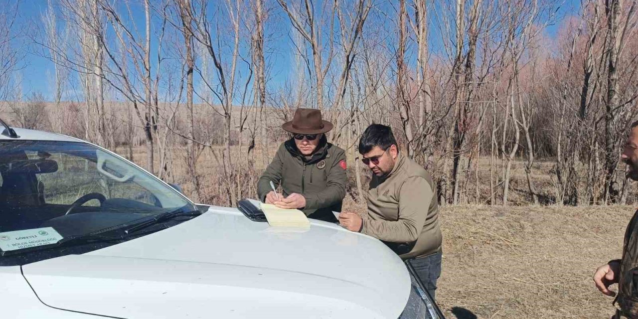 Yasa Dışı Ava Suçüstü