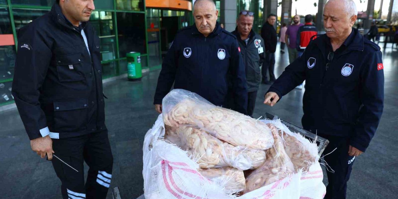 Şanlıurfa’dan Antalya’ya Otobüsle Gönderilen 300 Kilogram Sakatata El Konuldu